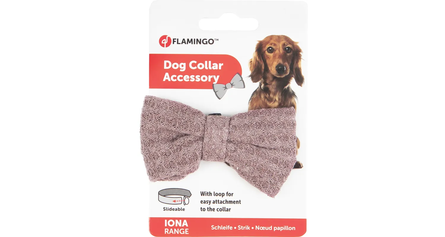 Flamingo Iona Anthracite Pink Dog Bow Tie - Image 2