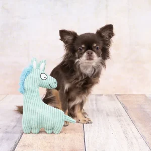 Alternative view of Flamingo Pebbles Horse Dog Toy