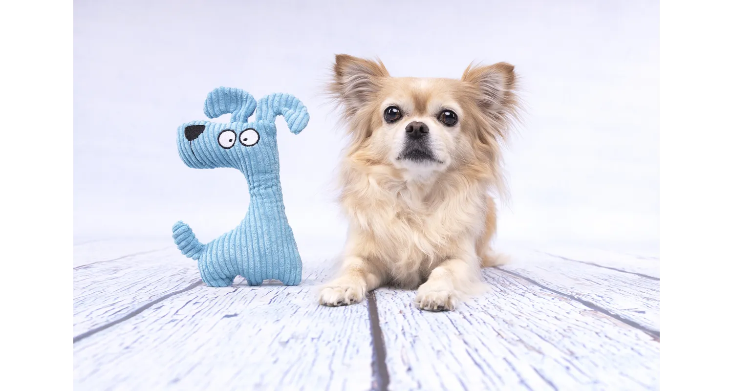 Flamingo Pebbles Dog Toy - Image 2