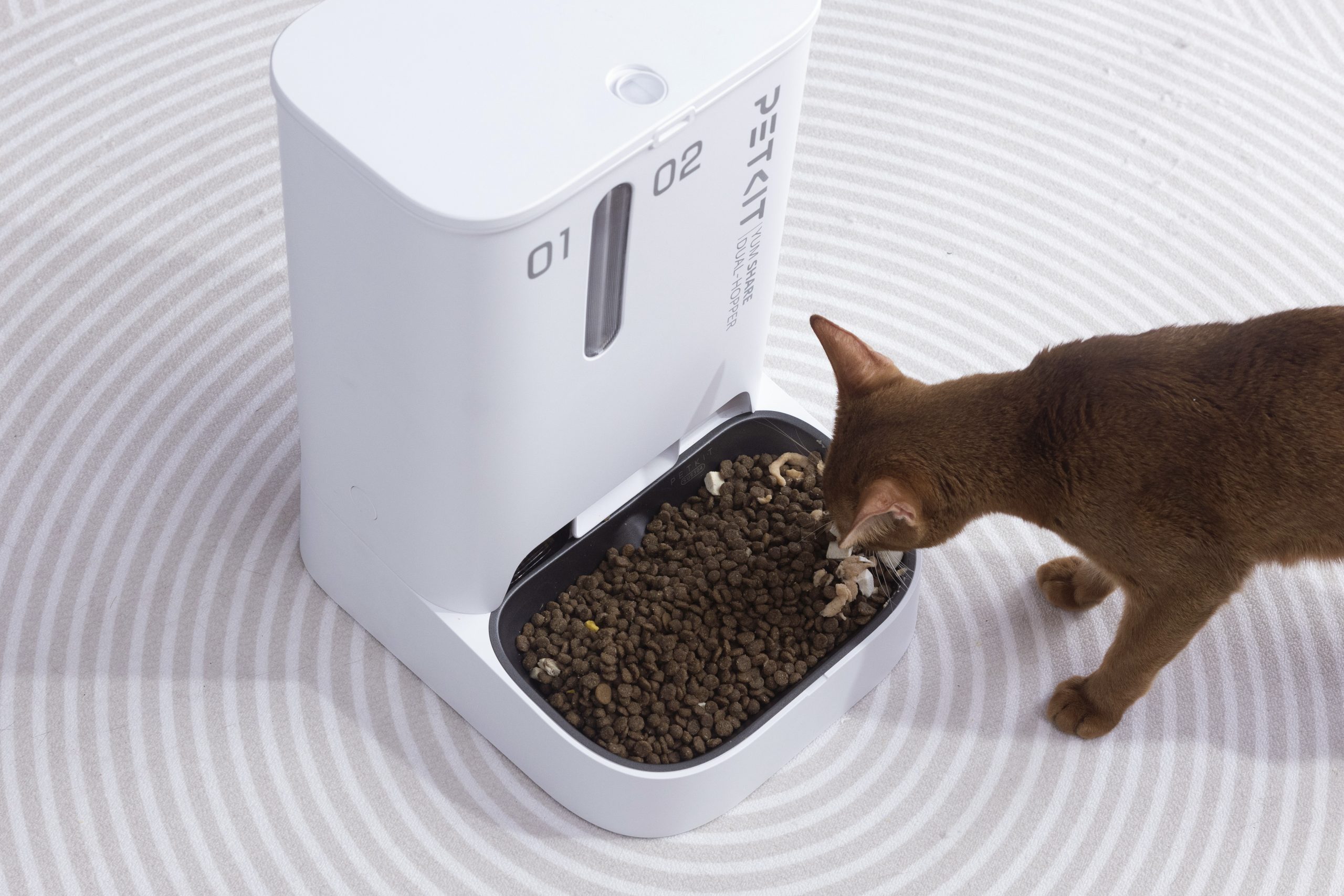 PetKit YUMSHARE Automatic Pet Feeder with HD Camera - Image 2
