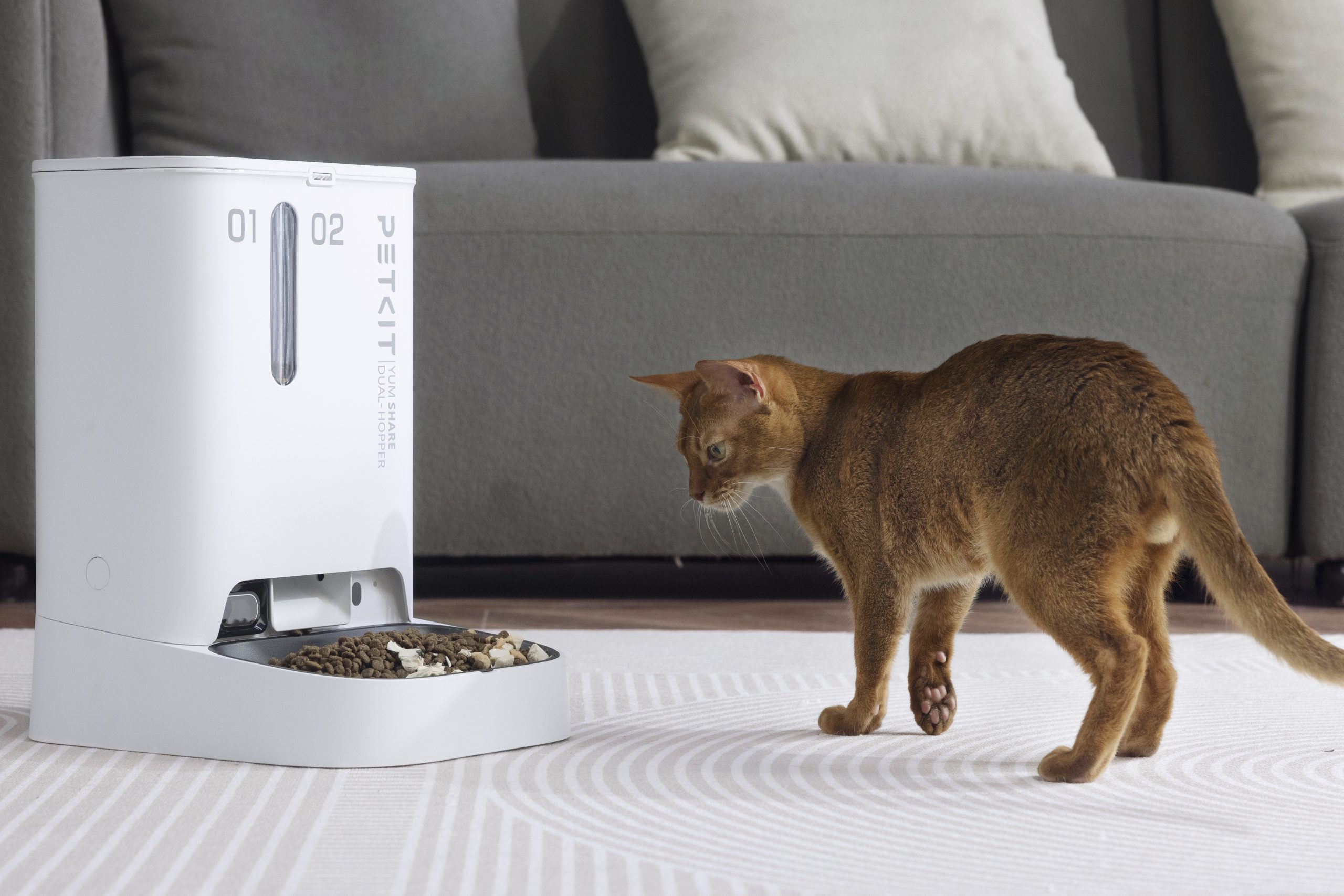 PetKit YUMSHARE Automatic Pet Feeder with HD Camera - Image 5