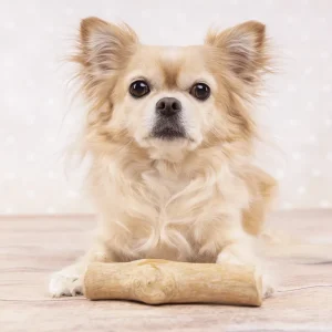 Alternative view of Flamingo Natural Chewy Wood Dog Toy