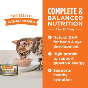 Alternative view of Instinct Original Real Chicken Grain-Free Wet Kitten Food, 85g
