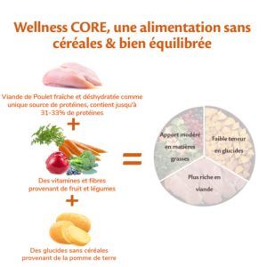 Alternative view of Wellness CORE Original Large Breed Chicken Recipe Dry Puppy Food, 2.75Kg