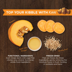 Alternative view of Instinct Raw Boost Mixers Gut Health Freeze-Dried Dog Food Topper