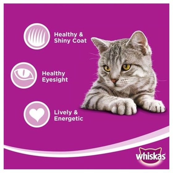 Whiskas Grilled Salmon Steak Flavour Dry Cat Food, 1.2kg - Image 2